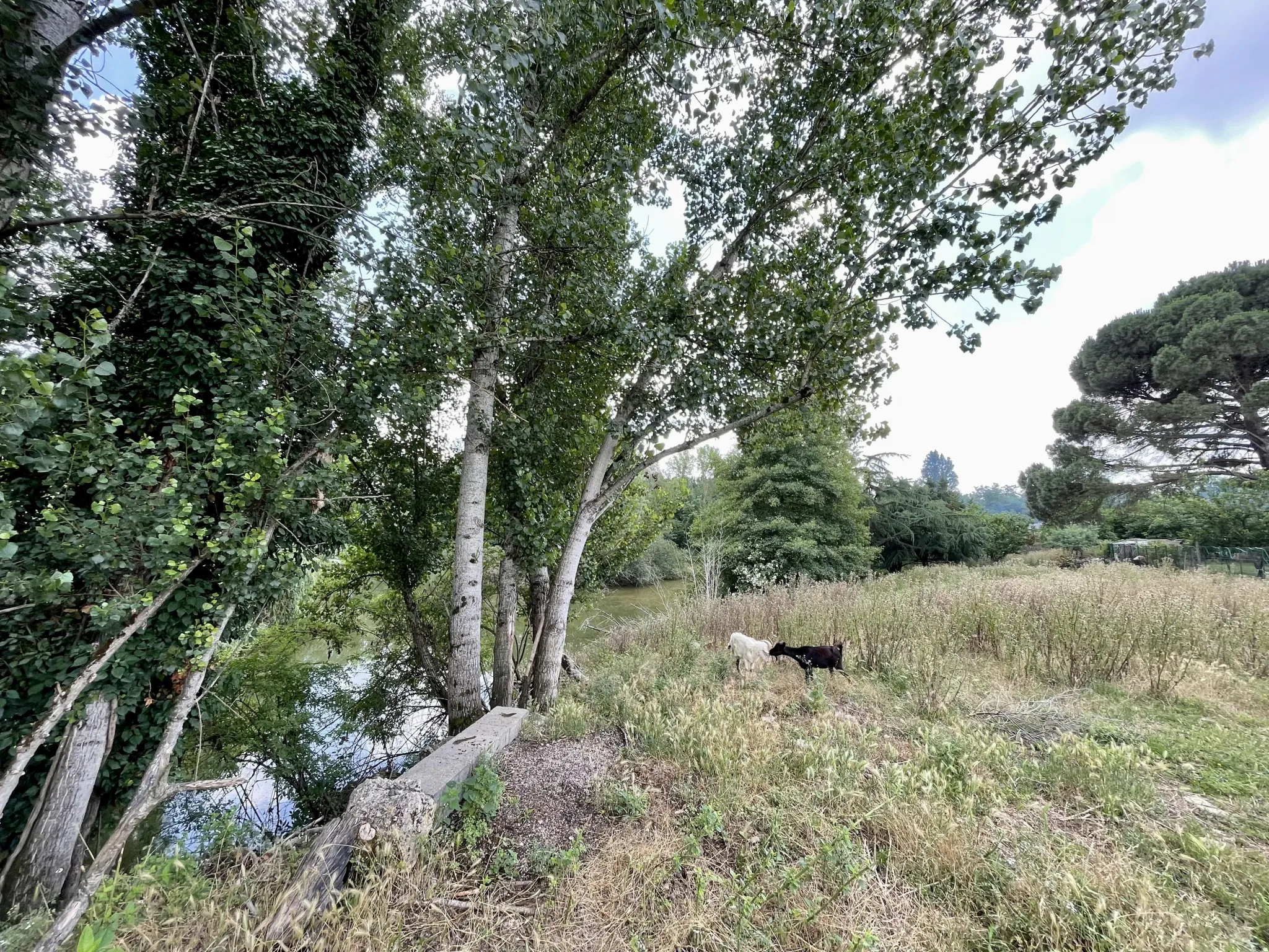 Maison T4 au cadre idyllique à Labastide st pierre - Montauban 