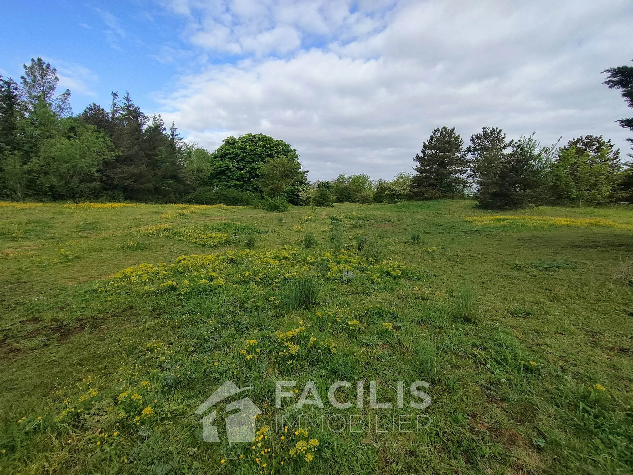 Terrain constructible Migné Auxances - 4982m2 