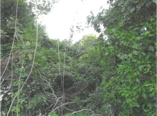 Terrain de 6170m2 à Loriol-Du-Comtat à acheter avec Axion 