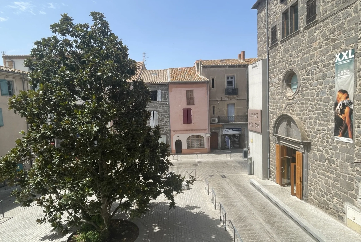 Appartement Type 2 à Agde - Hauts plafonds et beaucoup de cachet 