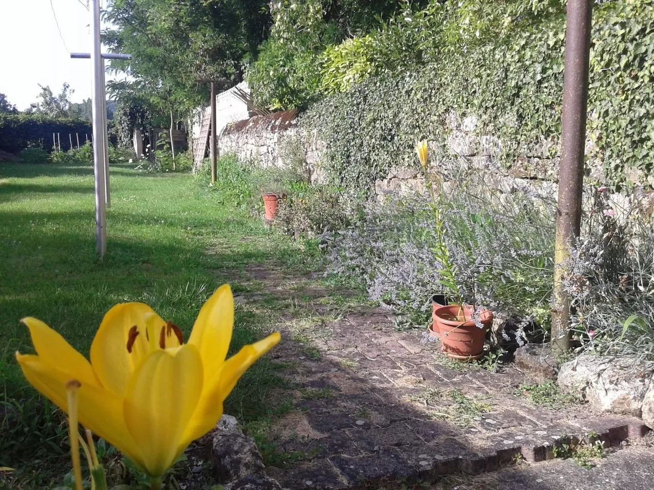 Maison à Saint-Front-Sur-Lémance - Investissement avec grand jardin 