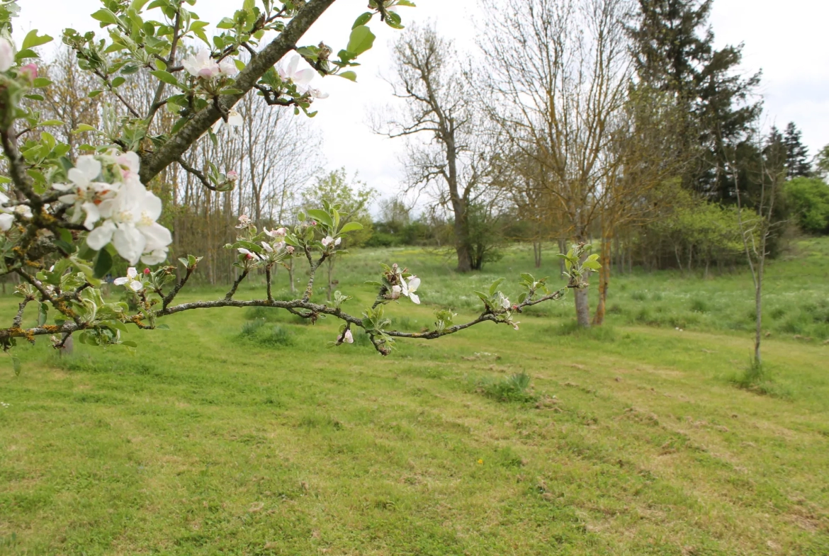 Saint Maur (18) - Fermette rénovée avec bungalow et grande grange sur 4,7 hectares. 