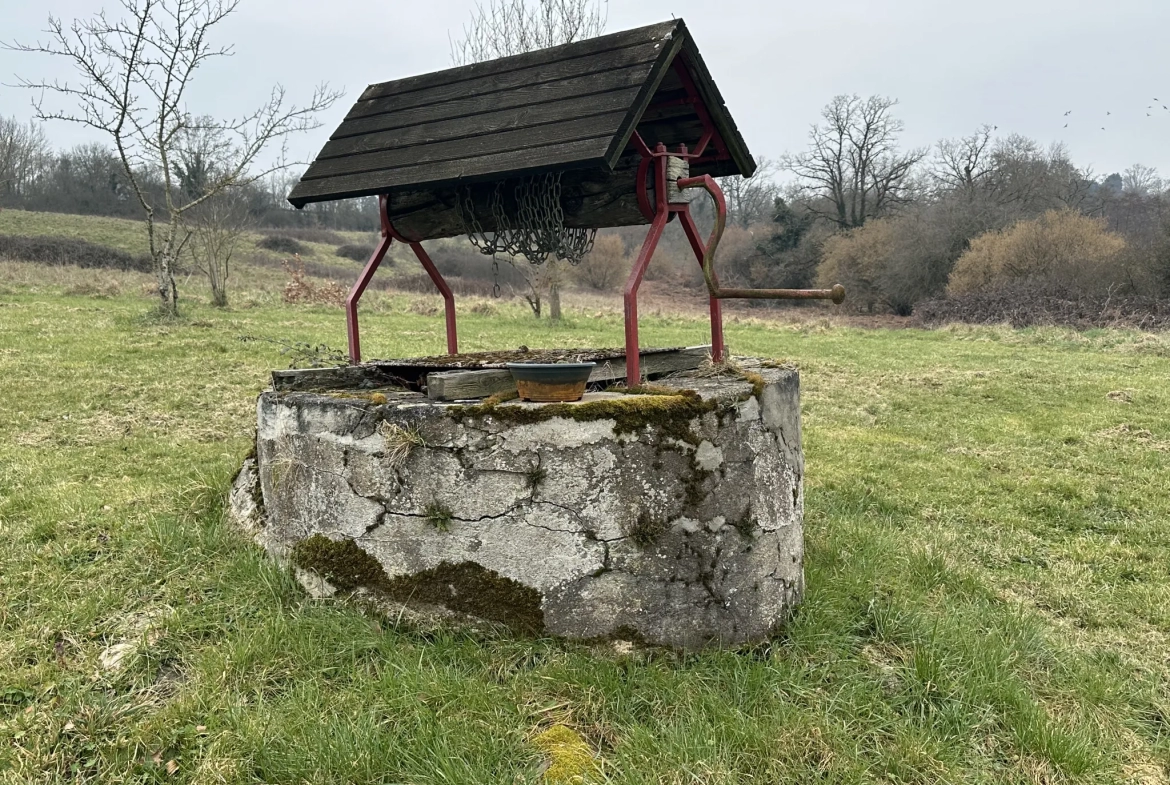 Saint Maur (18) - Fermette rénovée avec bungalow et grande grange sur 4,7 hectares. 