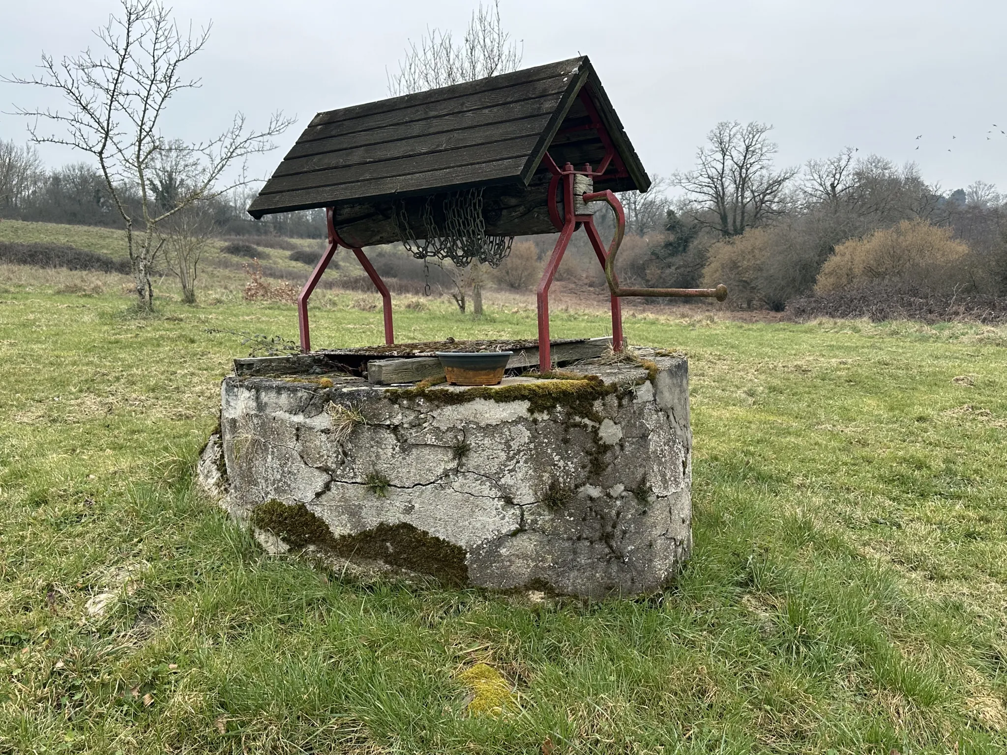 Saint Maur (18) - Fermette rénovée avec bungalow et grande grange sur 4,7 hectares. 