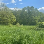 Terrain à bâtir en lisière de forêt à Fontaine la guyon - 4716m2