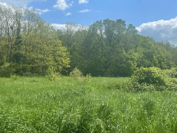 Terrain à bâtir en lisière de forêt à Fontaine la guyon - 4716m2