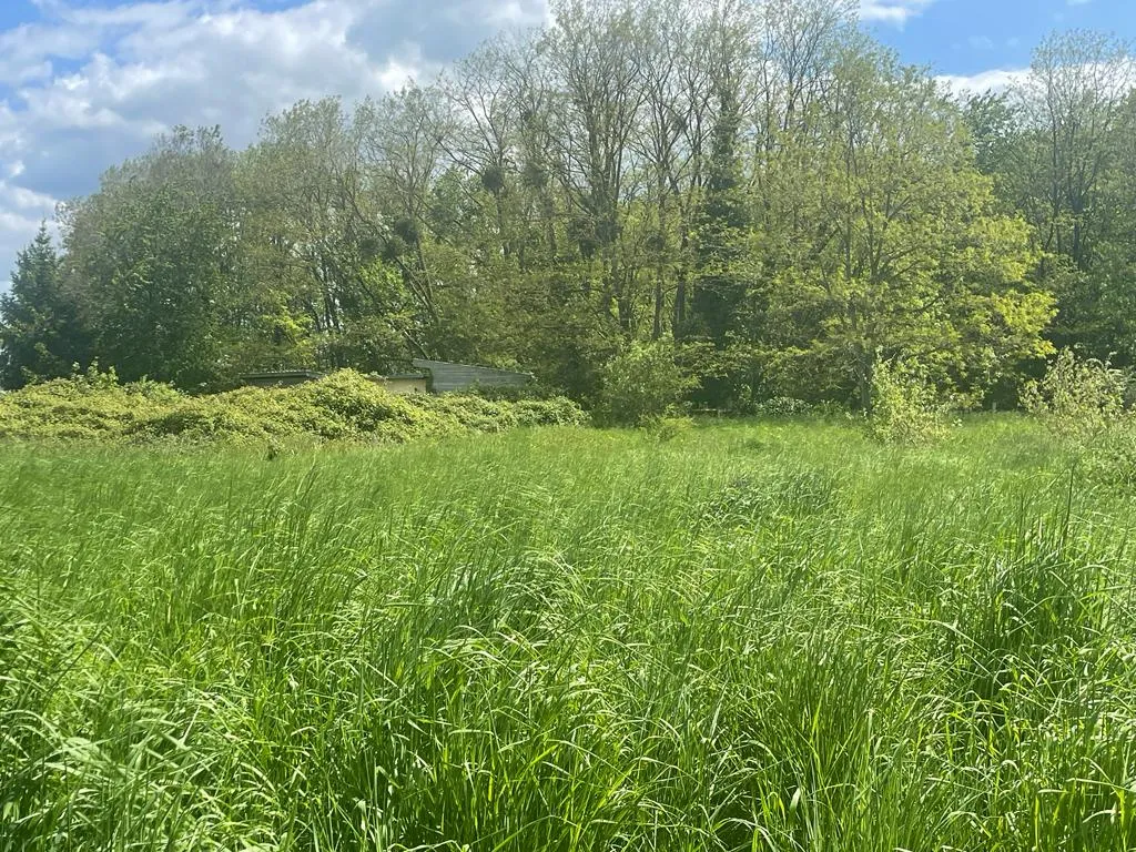 Terrain à bâtir en lisière de forêt à Fontaine la guyon - 4716m2 