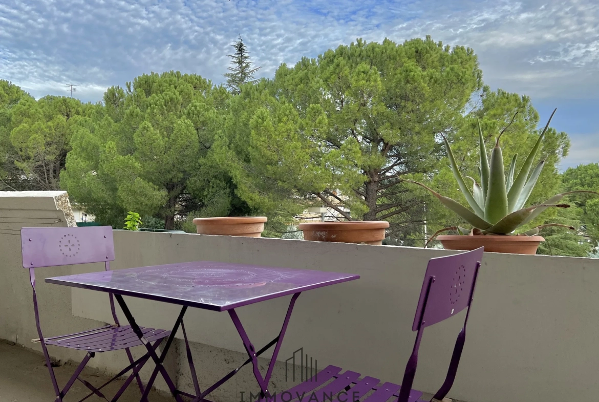 Appartement lumineux à Montpellier avec terrasse et parking 