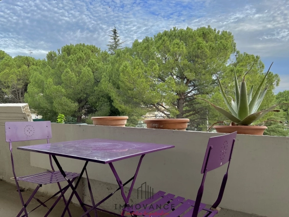 Appartement lumineux à Montpellier avec terrasse et parking