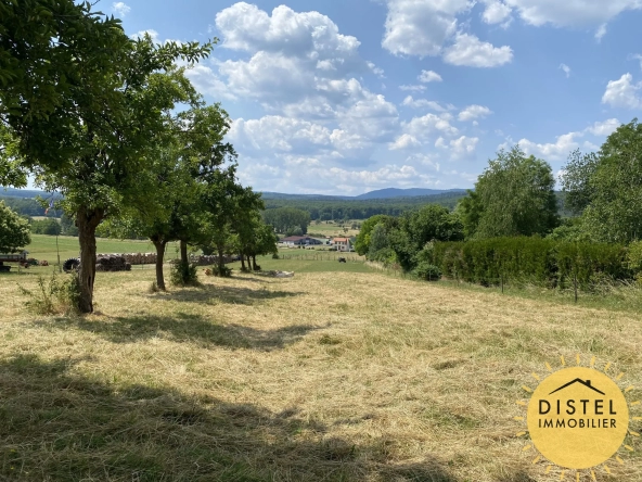 Terrain à bâtir en vente à Allenwiller avec vue dégagée