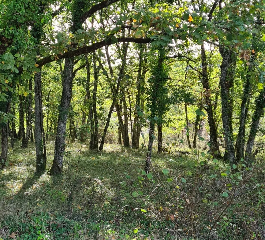 Terrain à bâtir plat à Chartrier Ferrière - 1663 m2 