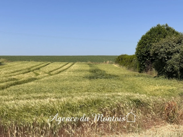 Terrain à bâtir de 1719 m2 - Région Provins - Gouaix 77114