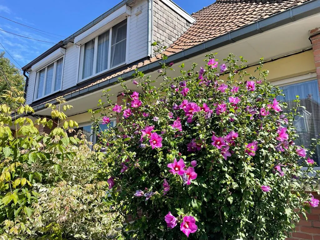 Maison semi individuelle des années 60 avec garage et jardin à Hem 