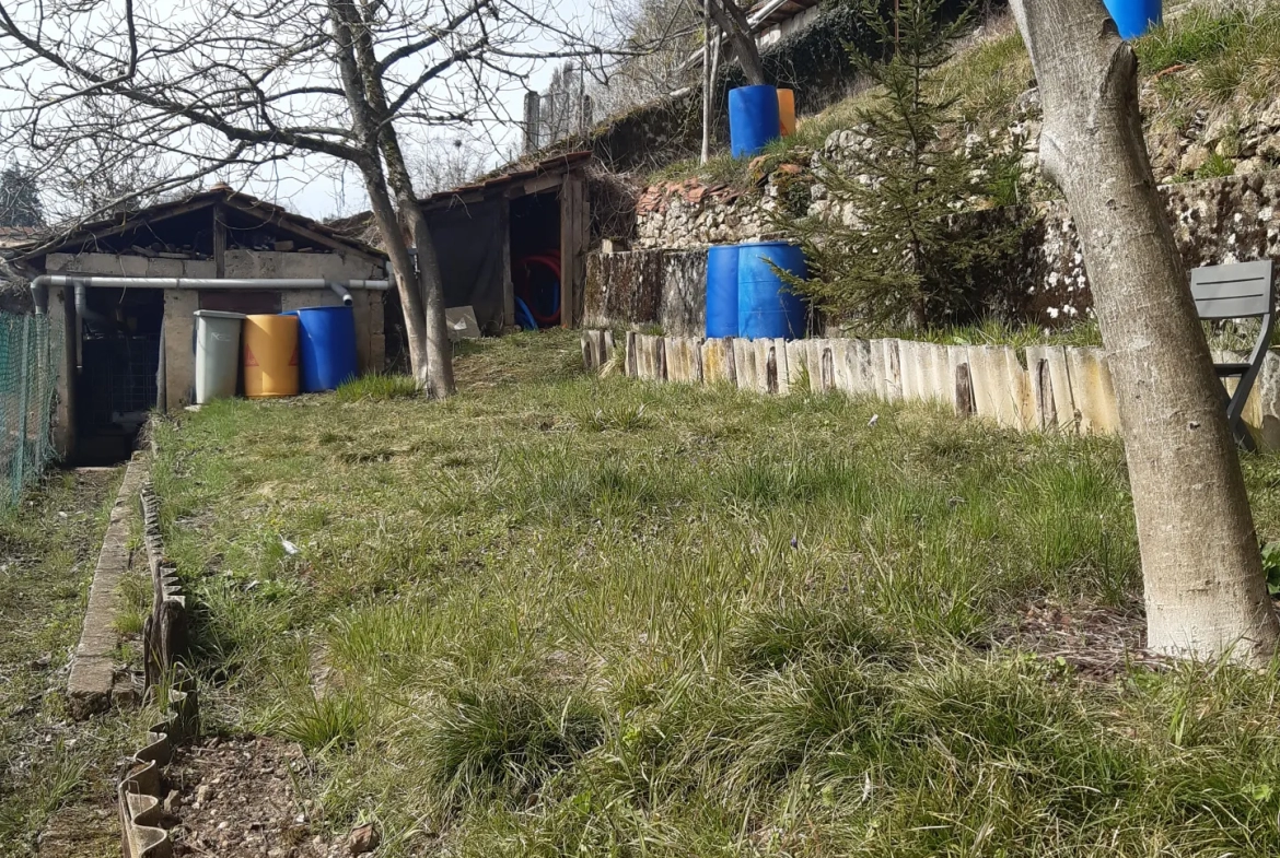 Maison de ville avec garage, terrasse et jardin à Pont d'Ain 