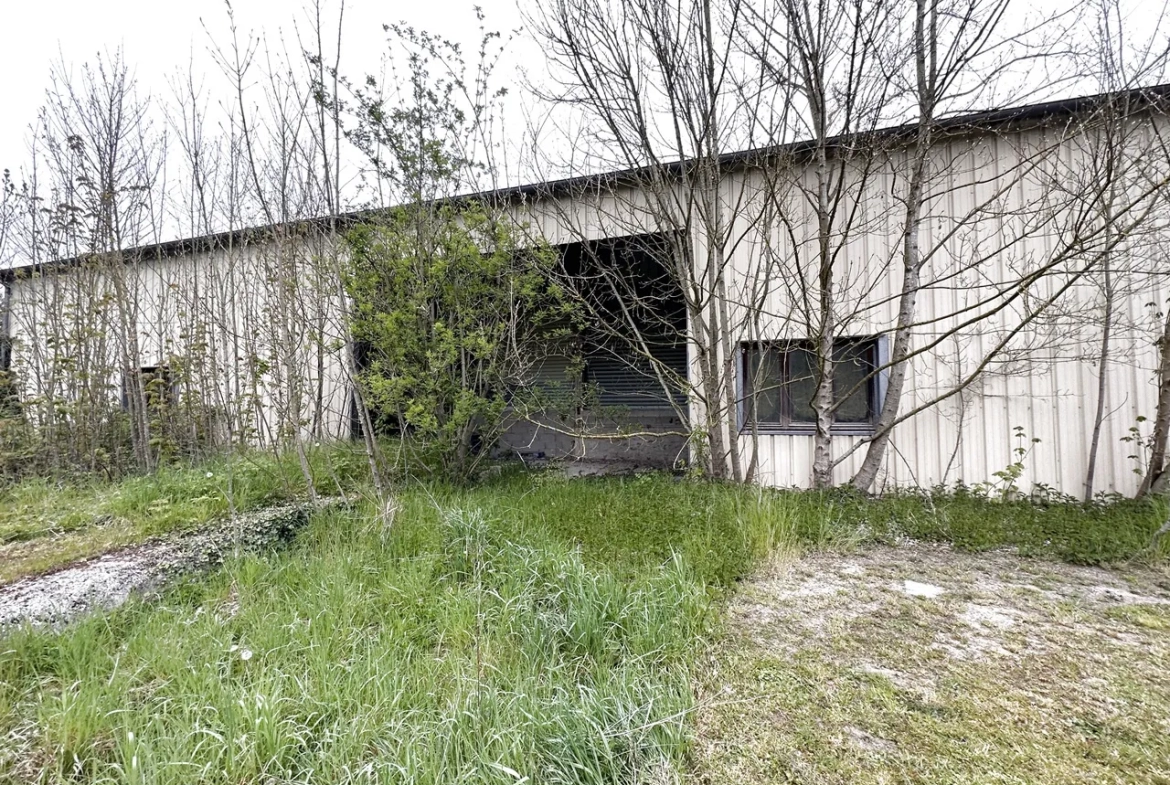 Bâtiment industriel entre BRAY-SUR-SEINE et NOGENT-SUR-SEINE 