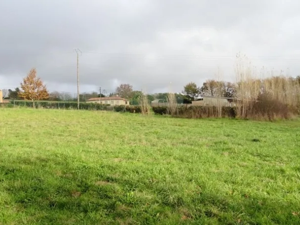 Magnifique terrain à bâtir plein sud