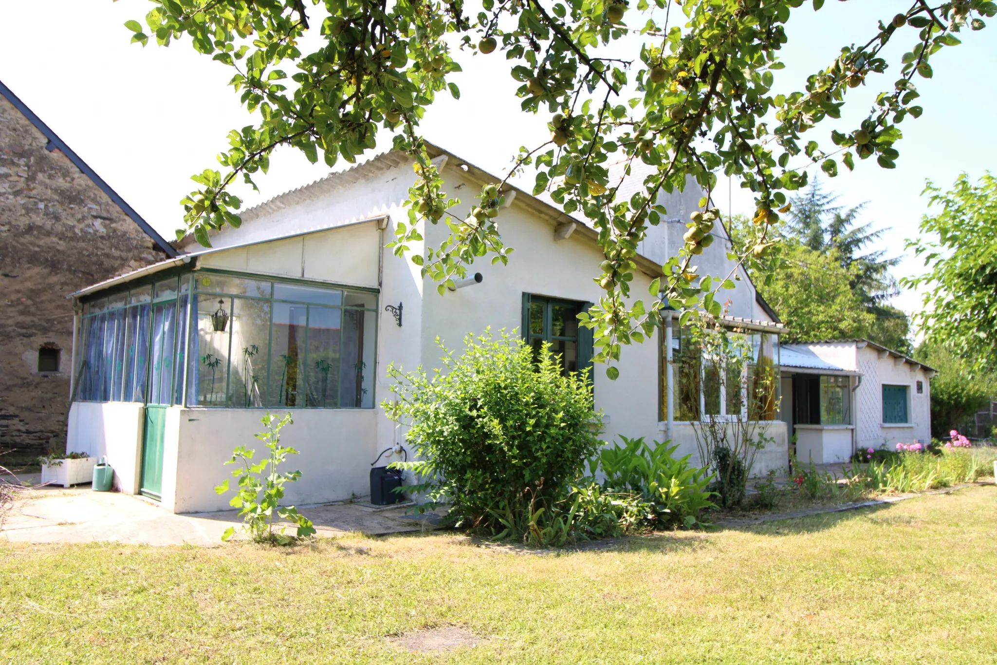 Maison à rénover à Pellouailles-les-Vignes 