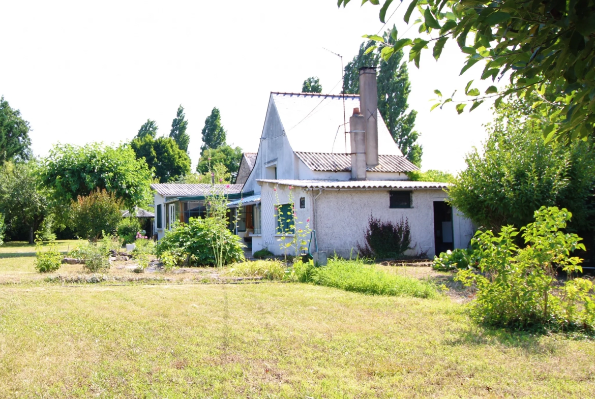 Maison à rénover à Pellouailles-les-Vignes 