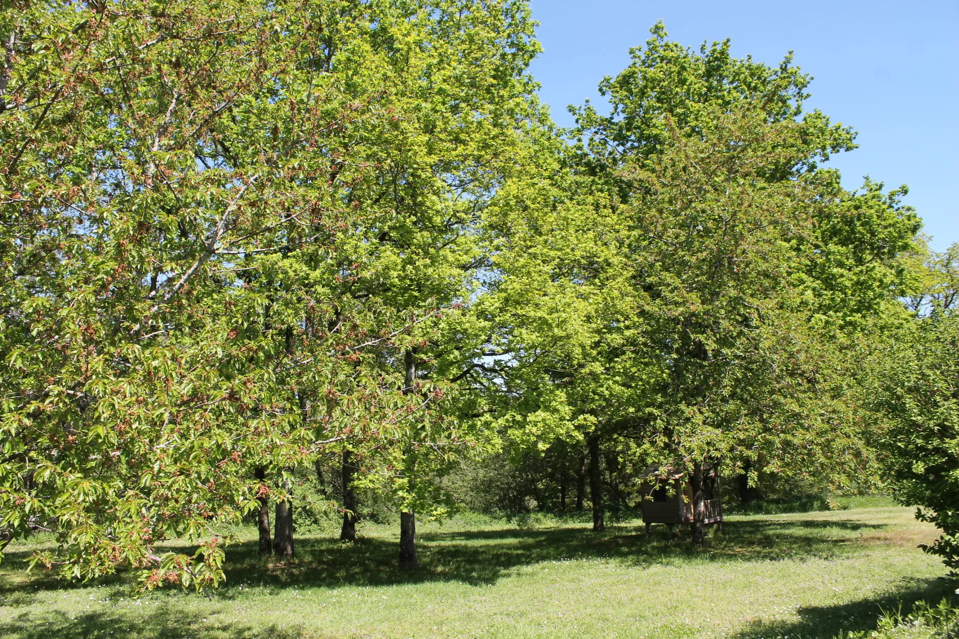 Cerilly- Maison joliment rénovée avec appartement sur +/- 4000 m2 de terrain 