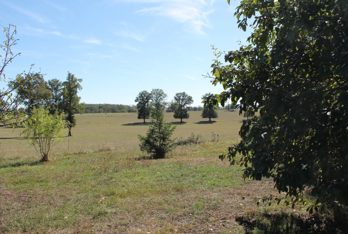 Vente - Fermette rénovée avec grange sur 2,6 hectares de terrain à Villefranche d'Allier 