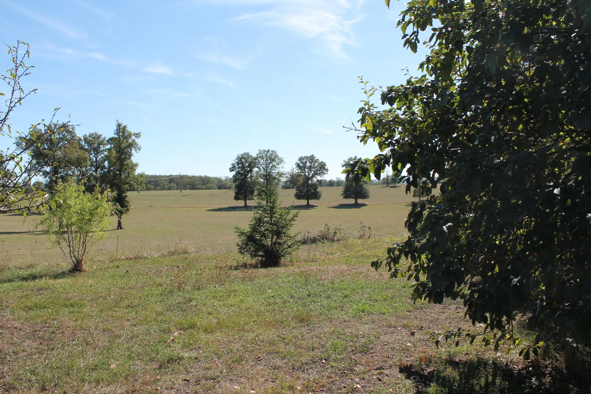 Vente - Fermette rénovée avec grange sur 2,6 hectares de terrain à Villefranche d'Allier 