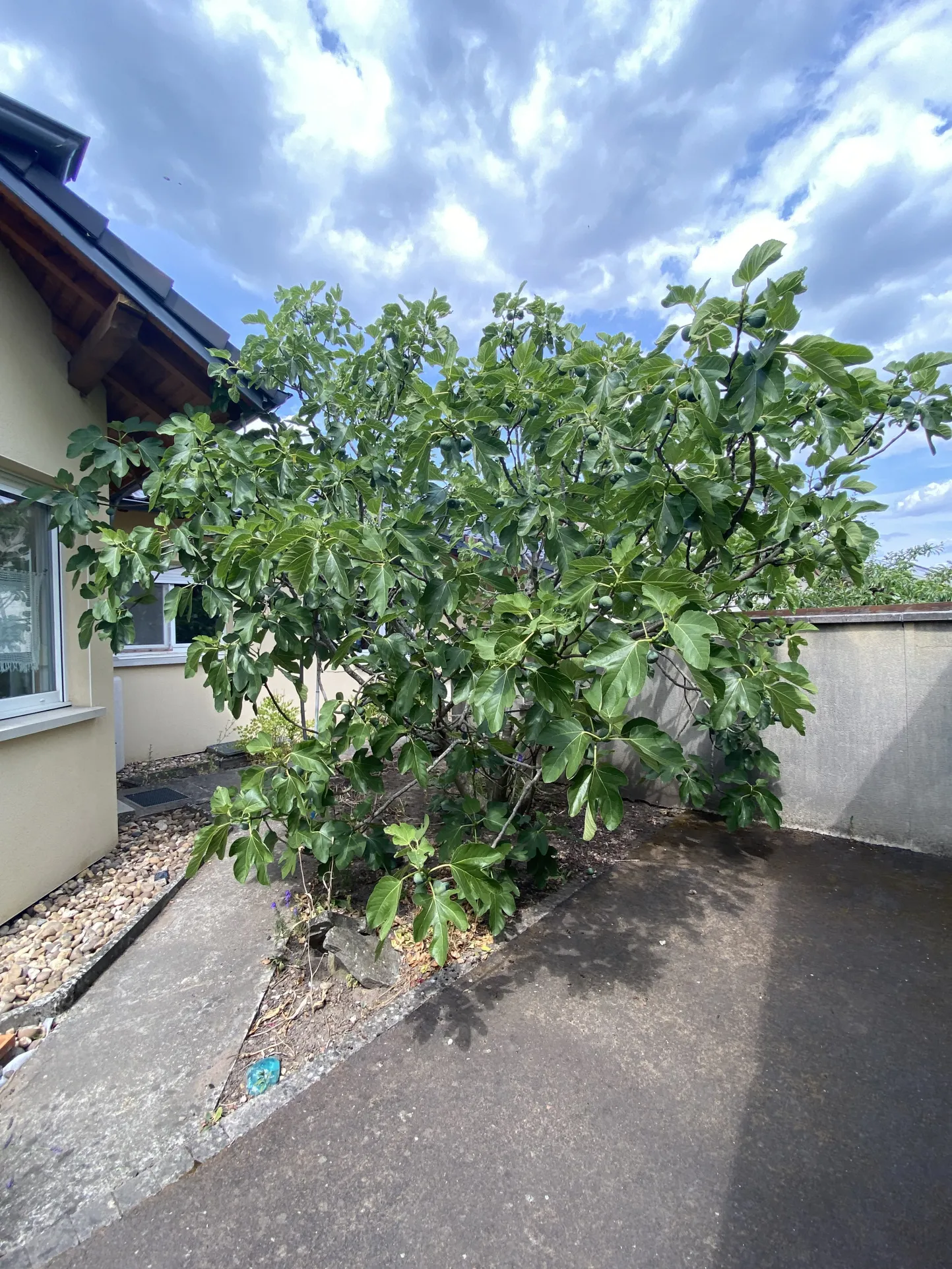 Maison individuelle de plain pied à vendre à Freyming-Merlebach 