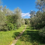 Terrain Agricole à Villevieille