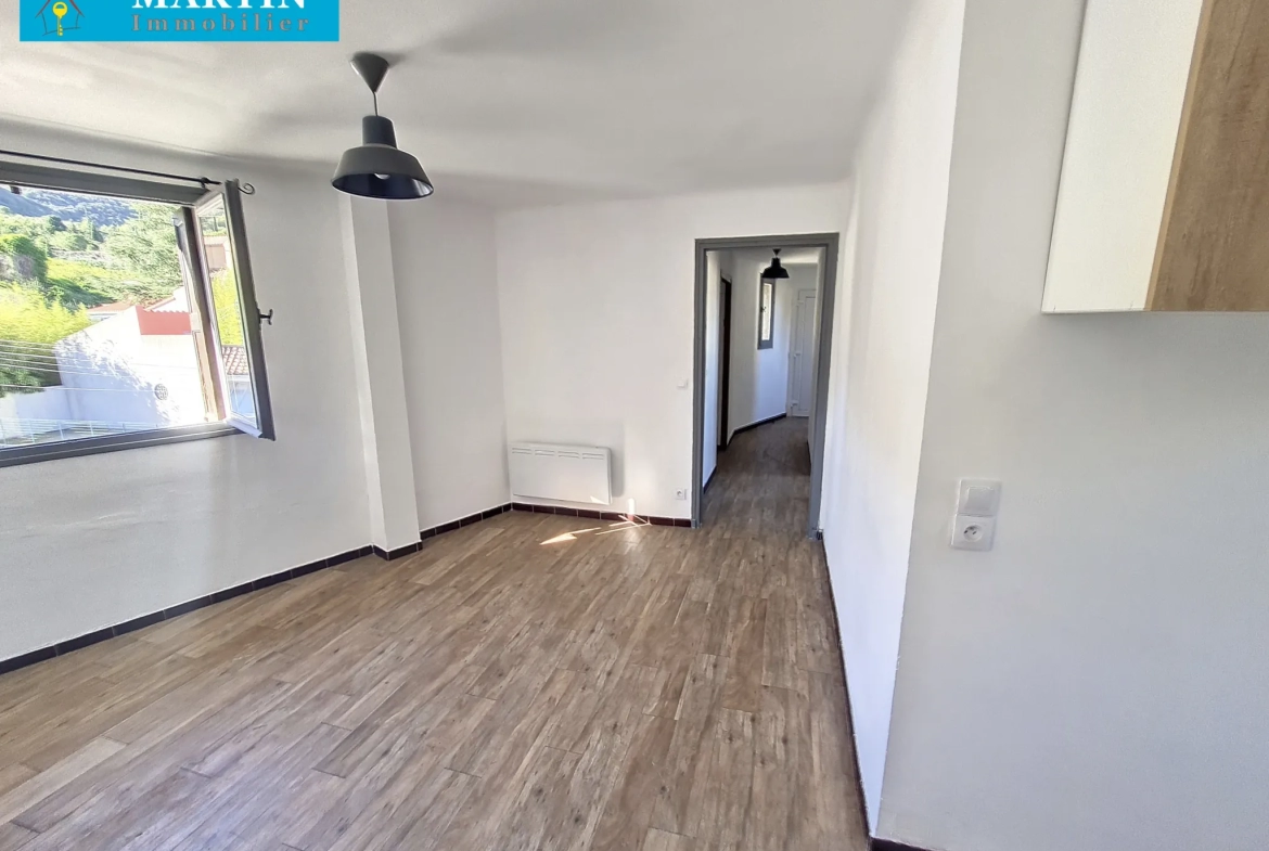 Appartement T3 rénové avec vue à CERET 