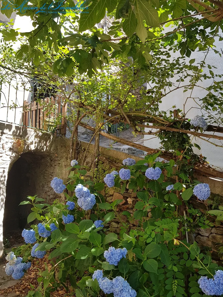 Maison de village à Saint Jean du Gard 