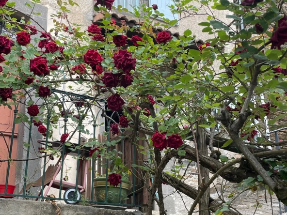 Maison de village à Saint Jean du Gard