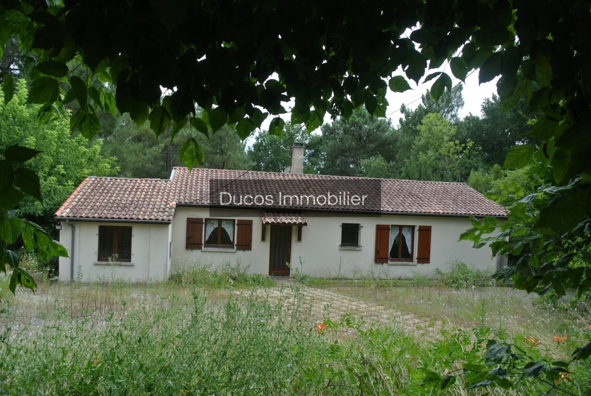 Maison de 4 chambres à Cocumont 