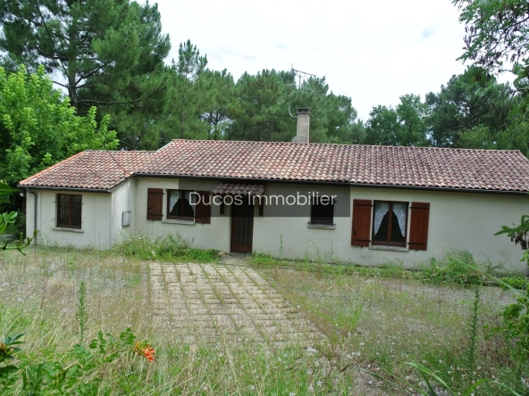 Maison de 4 chambres à Cocumont