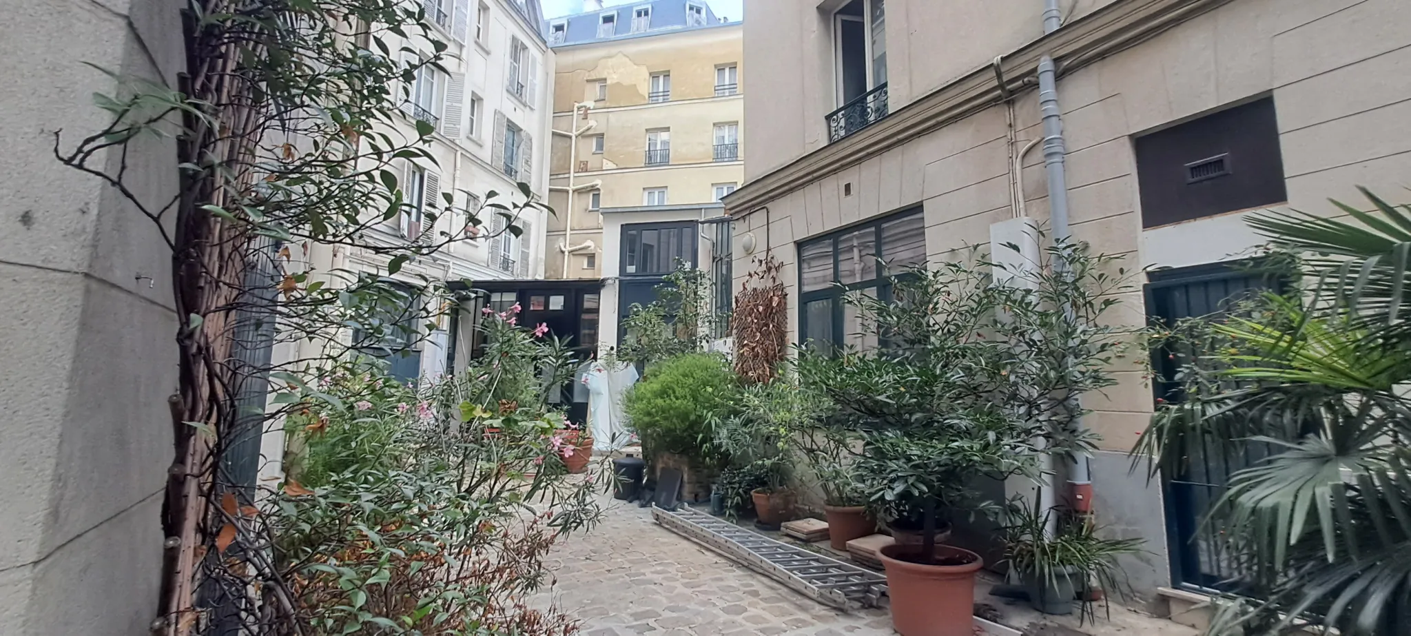 Studette Lumineuse à Montmartre - Idéal Investissement 