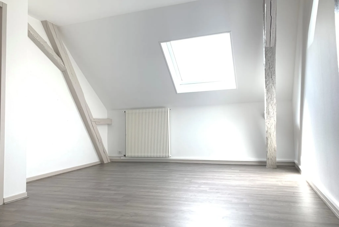 Appartement T3 à Belfort avec Vue Dégagée 