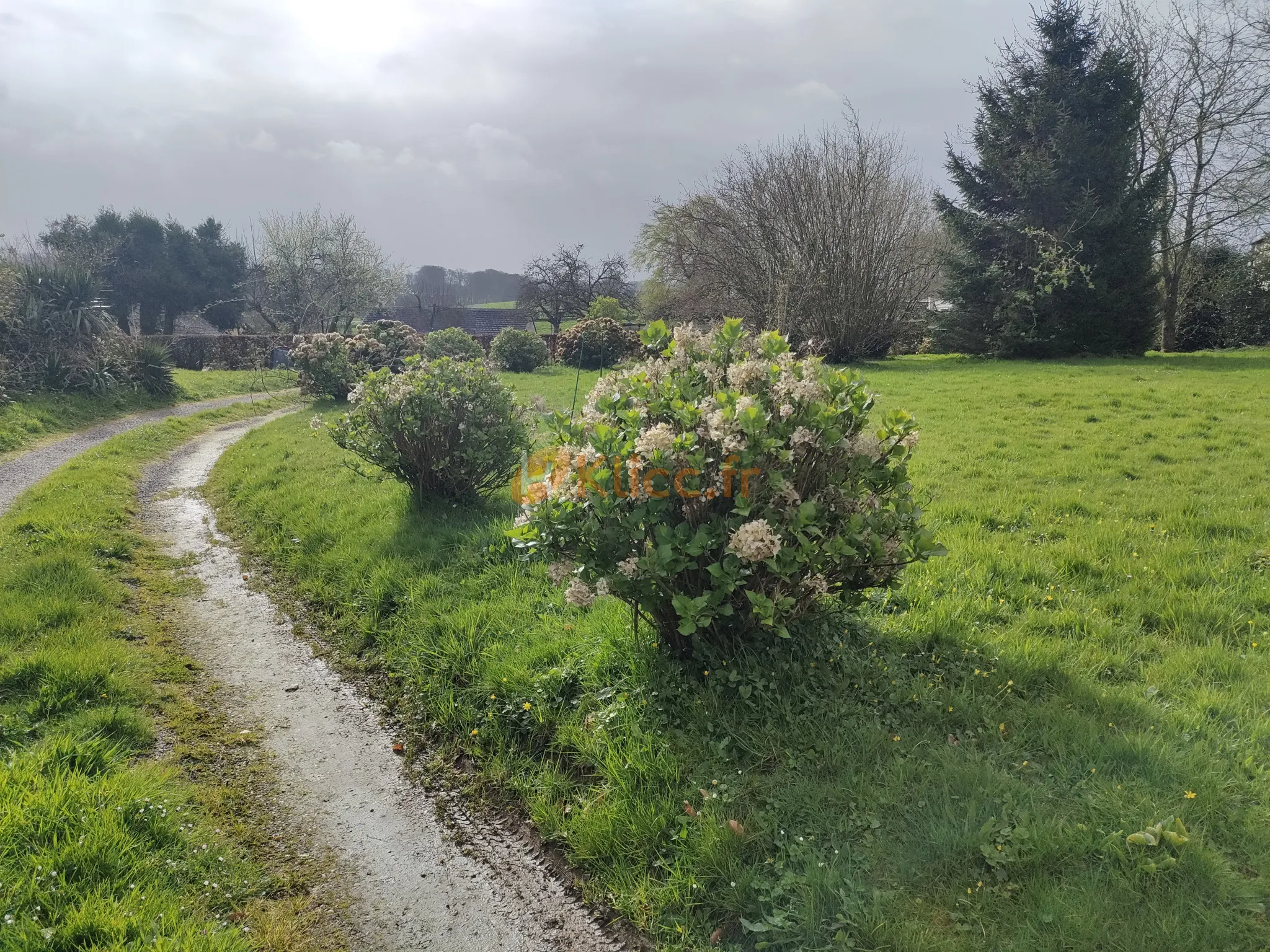 Grande Maison Familiale avec Jardin Proche Goderville à Vendre 