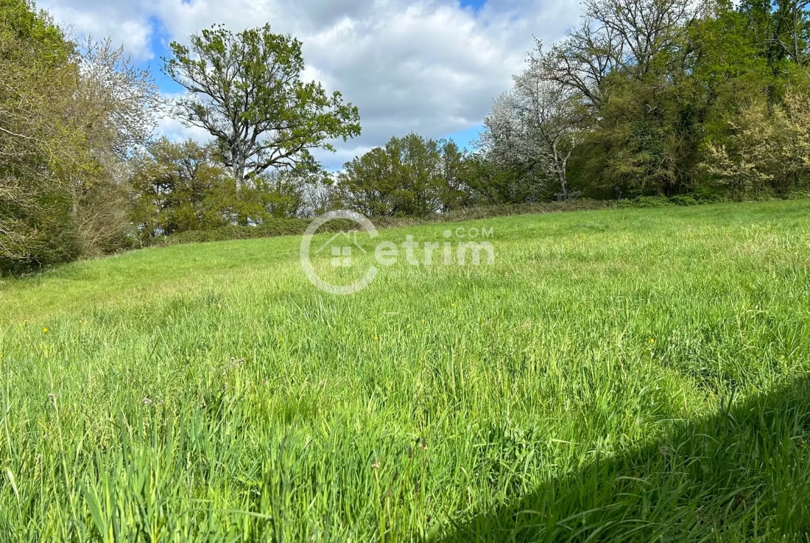 Terrain à bâtir de 1.100 m2 à Bulhon avec vue dégagée 