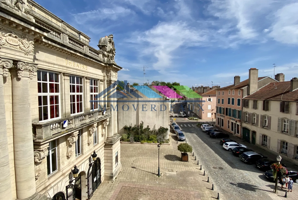 Appartement Charmant en Centre-Ville avec Vue Dégagée - Luneville 