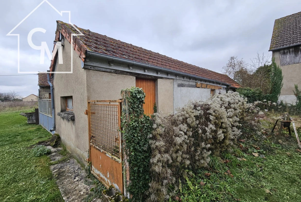 Ensemble immobilier avec cour et jardin à Baugy 