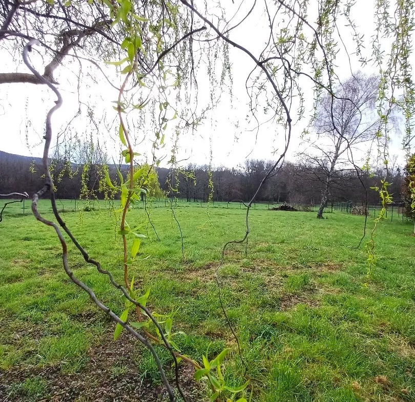 Maison de plain pied avec jardin à Mariol 