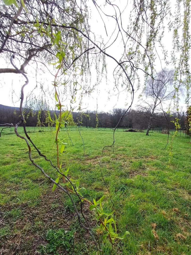 Maison de plain pied avec jardin à Mariol 