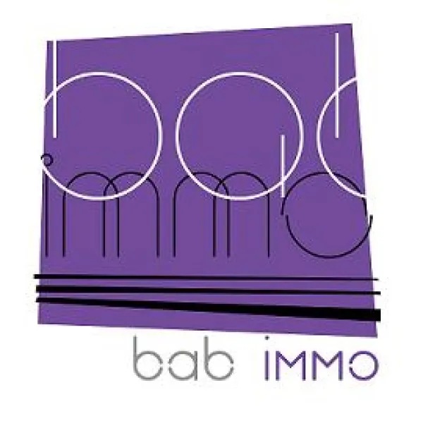 AGENCE BAB-IMMO_1