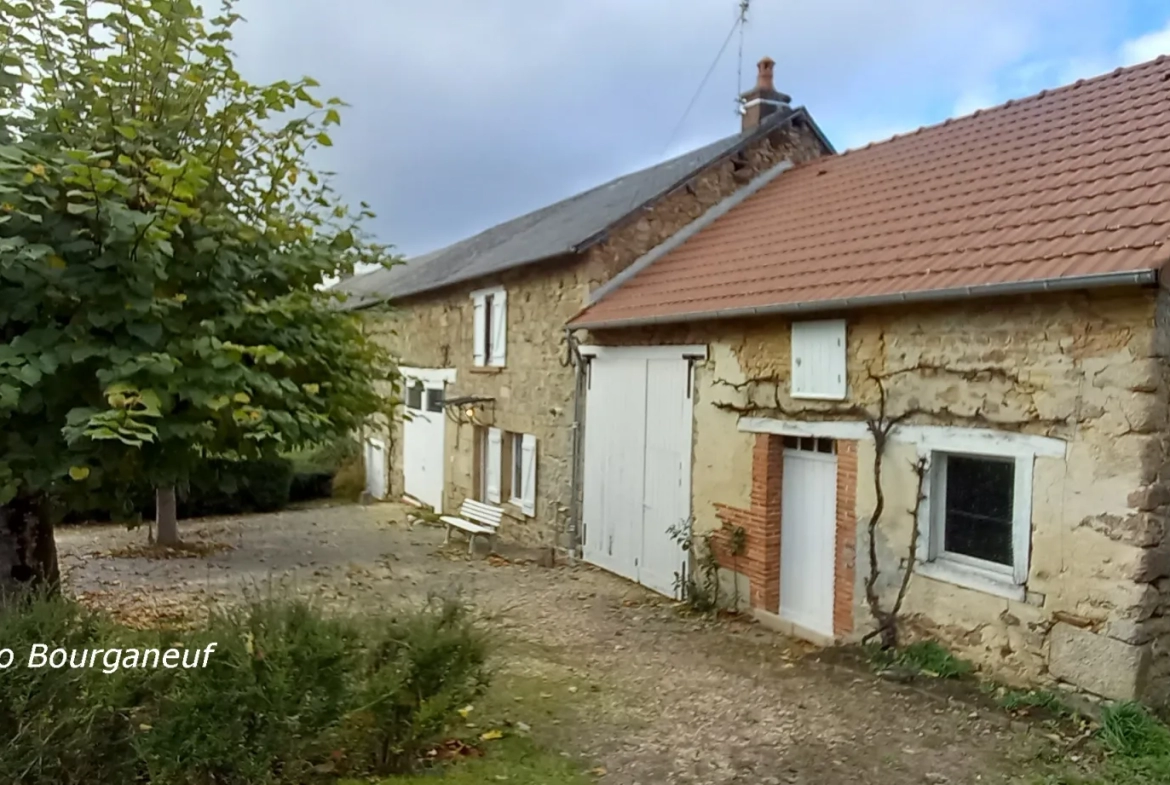 Fermette rénovée avec 2 chambres et terrain spacieux à St Dizier Leyrenne 