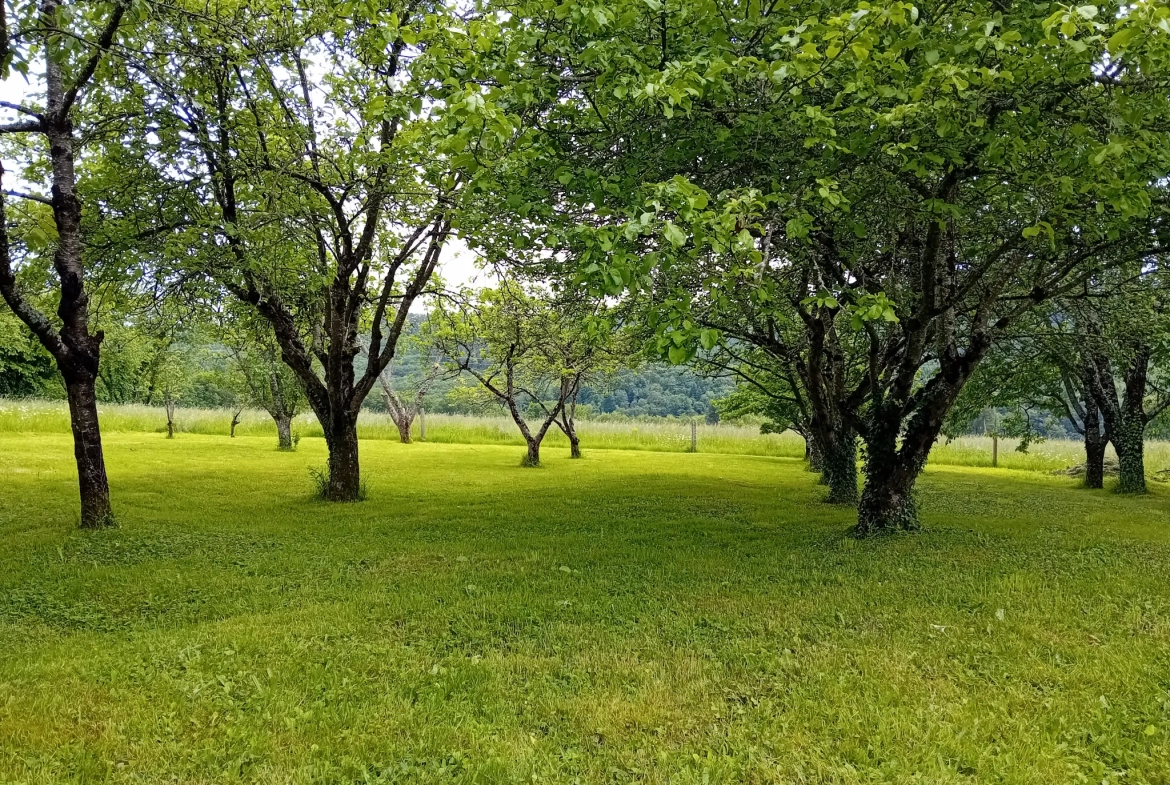 Fermette rénovée avec 2 chambres et terrain spacieux à St Dizier Leyrenne 