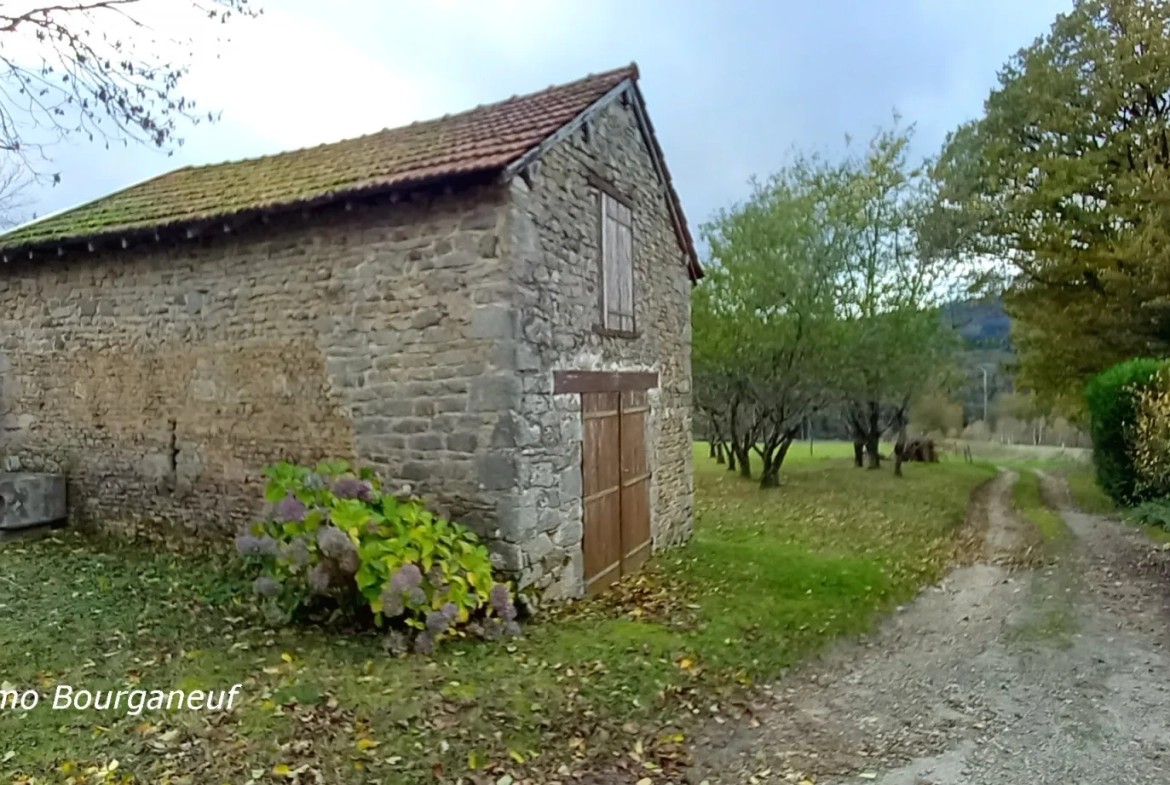 Fermette rénovée avec 2 chambres et terrain spacieux à St Dizier Leyrenne 