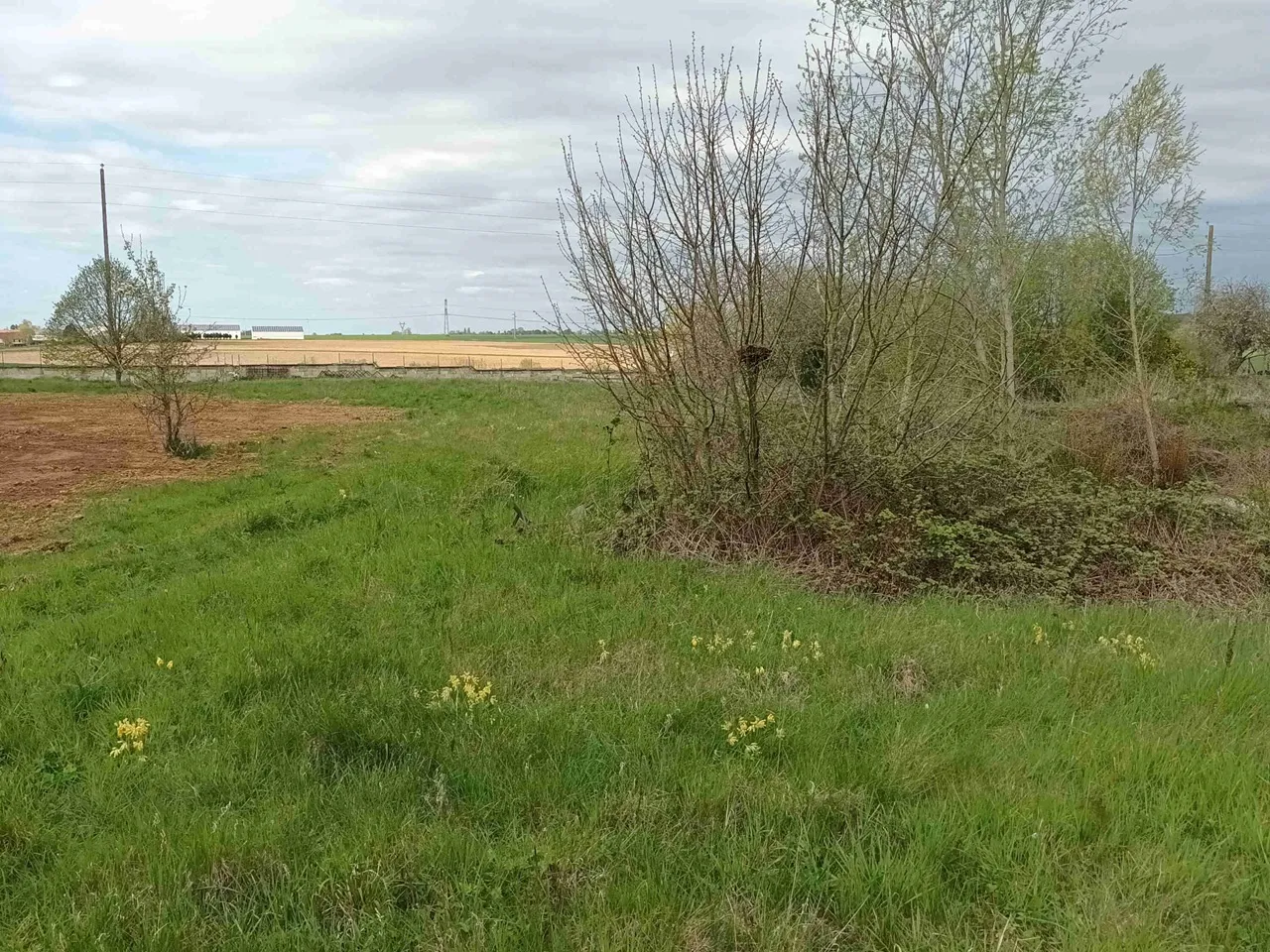 Terrain à bâtir région Nangis 1505 m2 