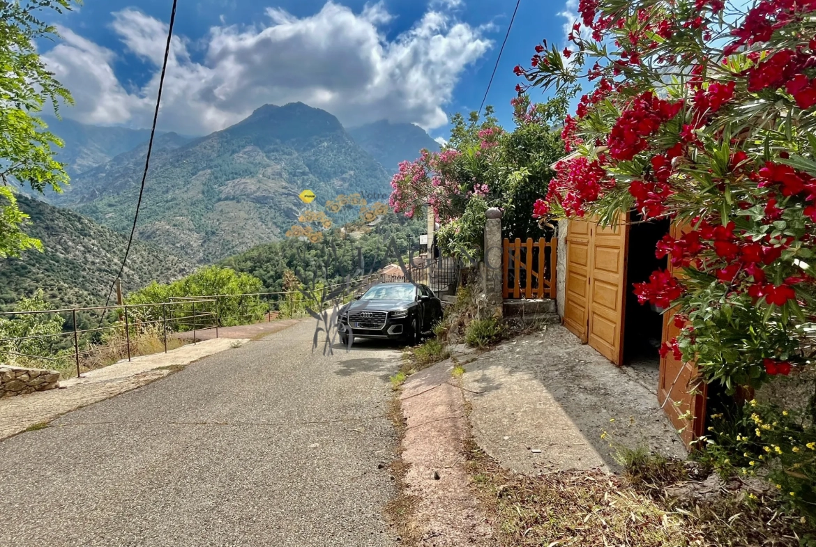 Magnifique Maison de Village à Asco avec Garage 