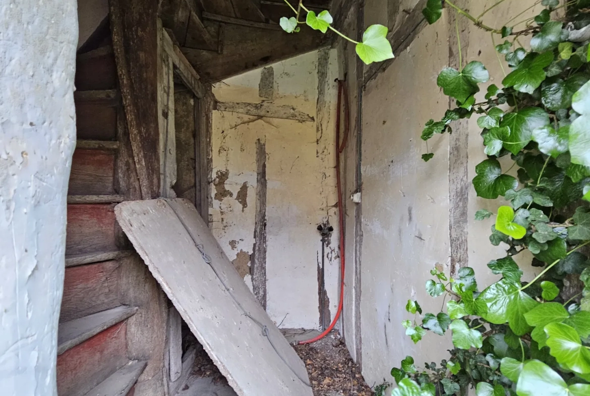 Charming Old House with Outbuilding in Savigny sur Braye 