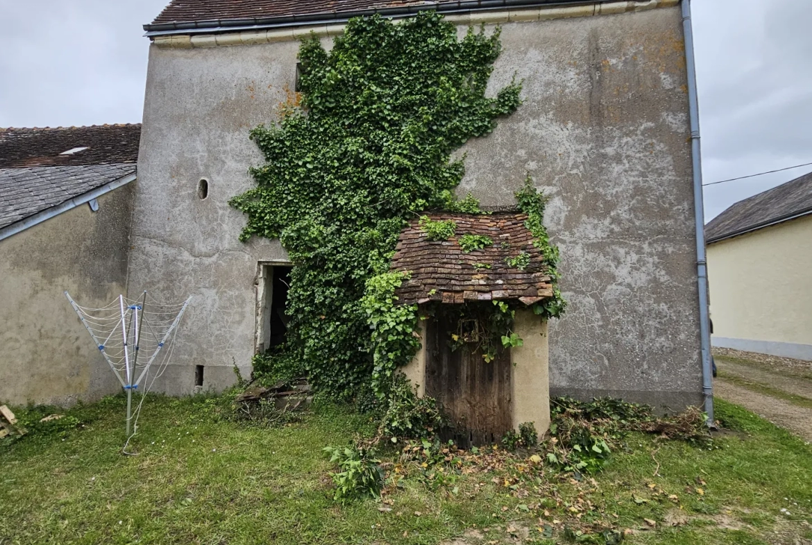 Charming Old House with Outbuilding in Savigny sur Braye 