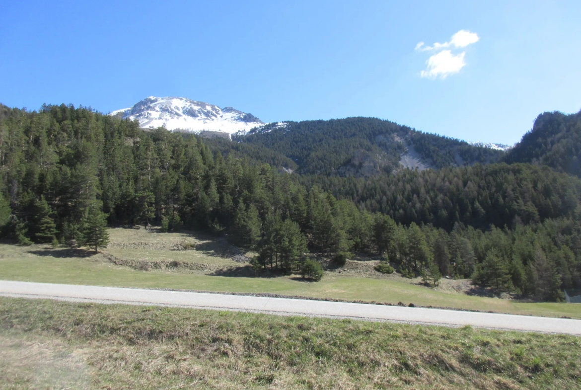 Terrain ensoleillé avec vue montagne à Arvieux 