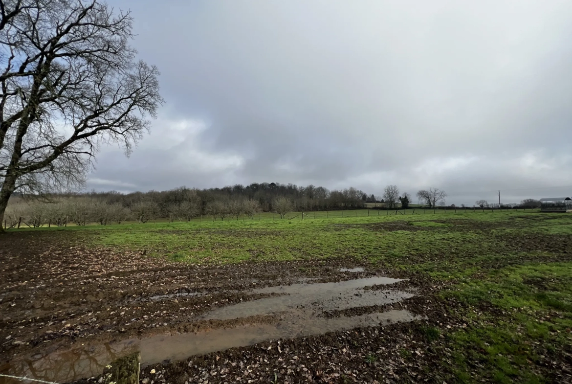 Terrains à bâtir à 5 min de Saint-Cyprien - Périgord Noir 